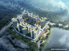 <b>但需关心招生政策（小学号</b>