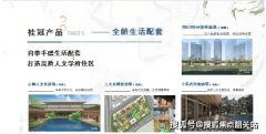 步完美了区域新兴财产结构